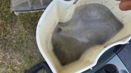 Dirty water from one carpet by Clean Up Crew in Middelburg